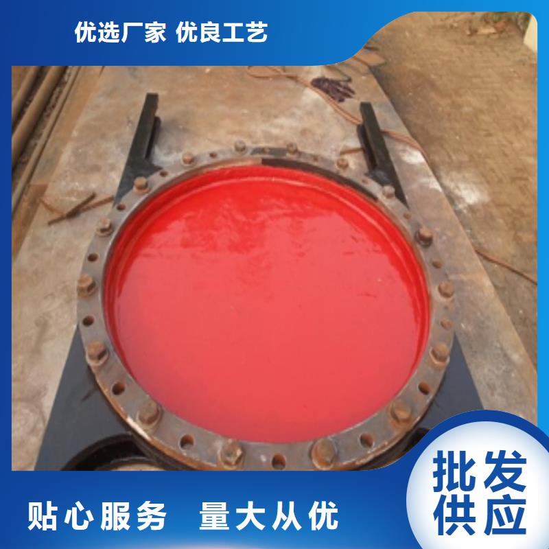 铸铁闸门-镶铜铸铁闸门诚信厂家