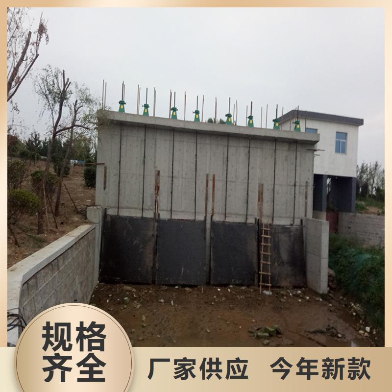 铸铁闸门-镶铜铸铁闸门诚信厂家