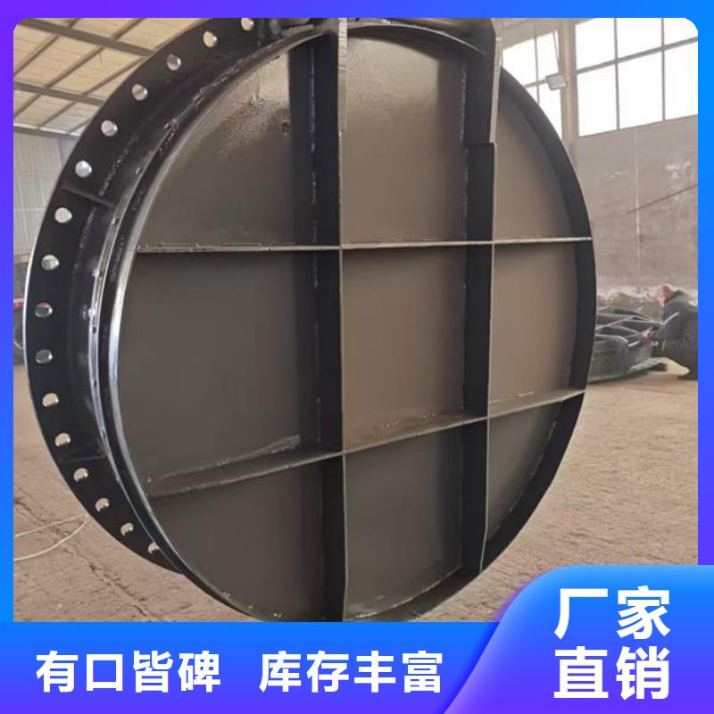 拍门不锈钢拍门欢迎来电咨询