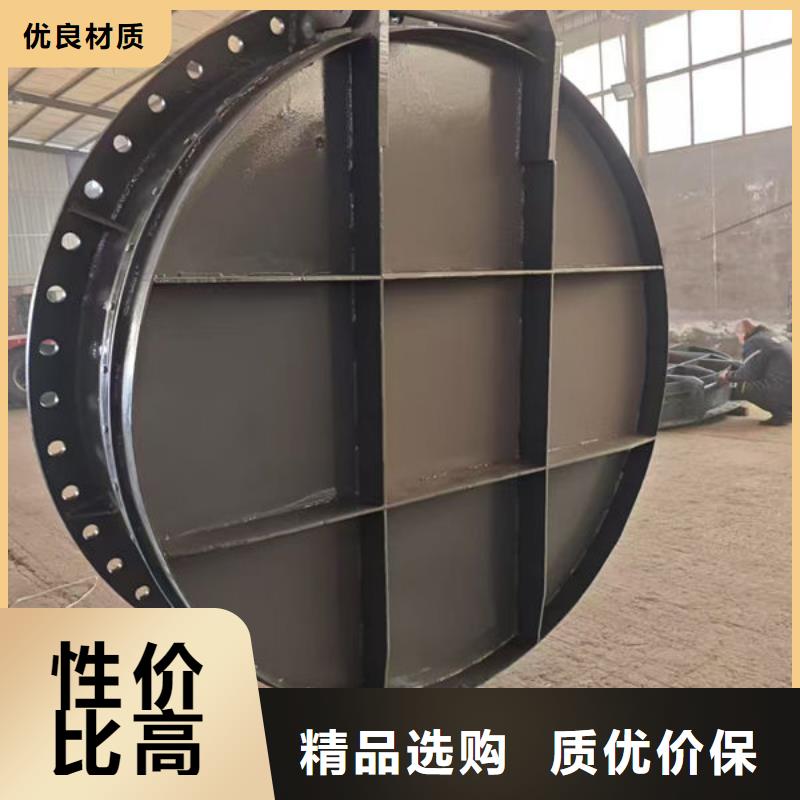 拍门防倒灌拍门优良材质