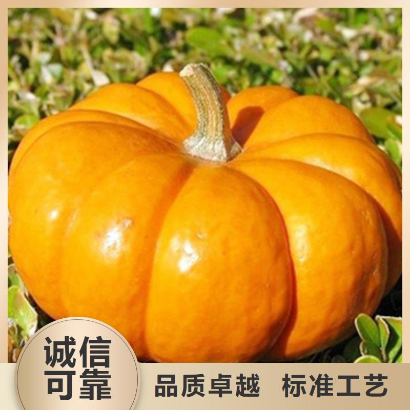 南瓜粒厂家直供