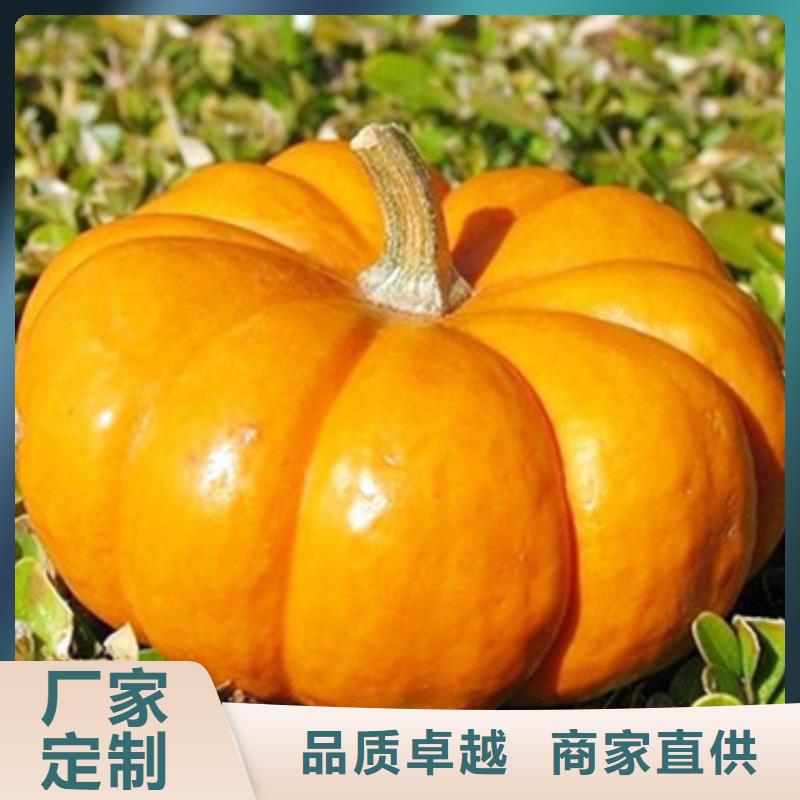 无皮南瓜粒在线报价