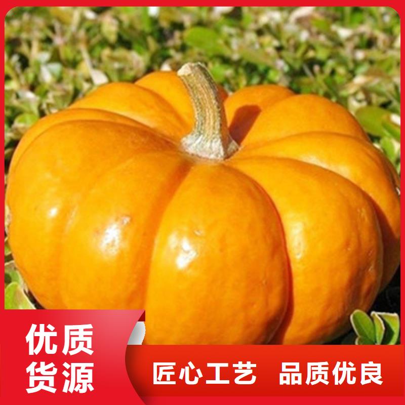 南瓜丁承诺守信