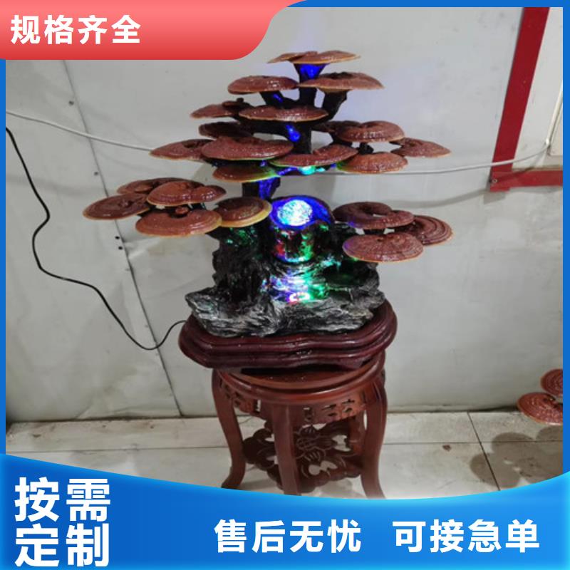 黑灵芝的功效与作用欢迎订购