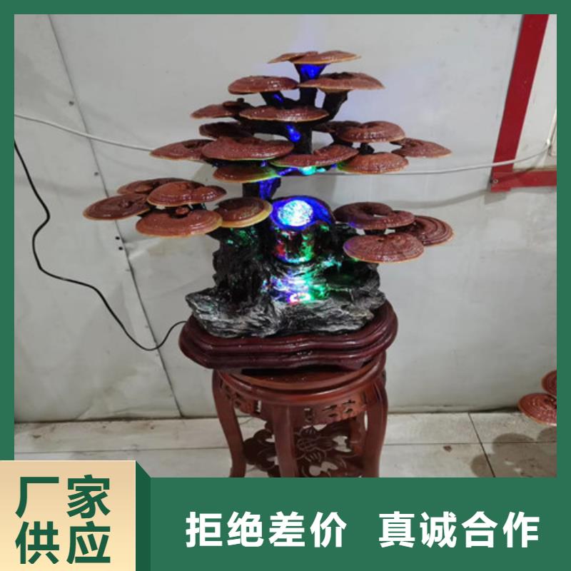 黑灵芝泡水喝的功效与作用现货充足