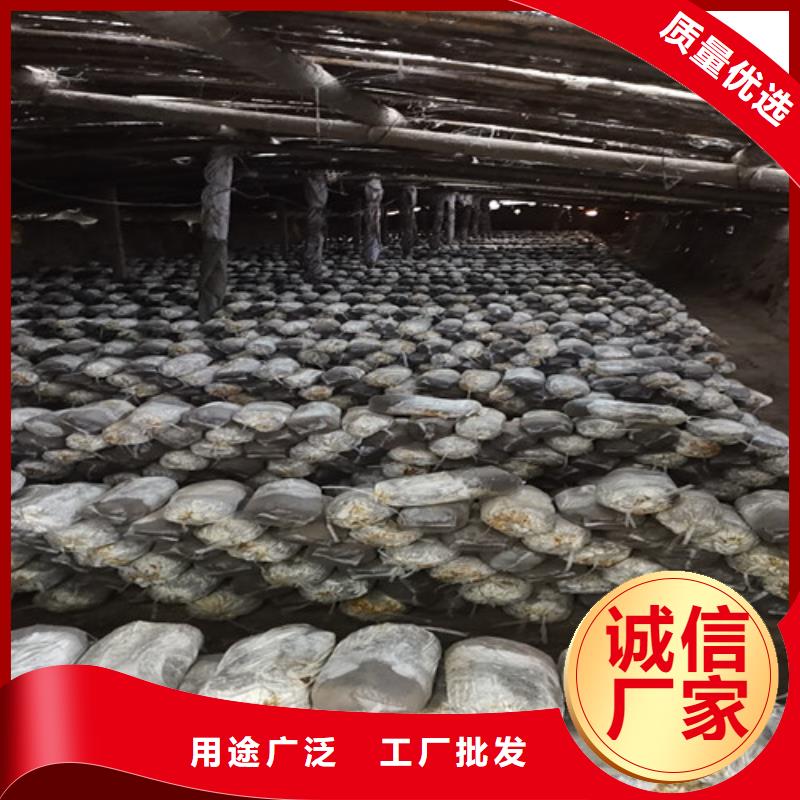 灵芝孢子粉代工厂制作公司