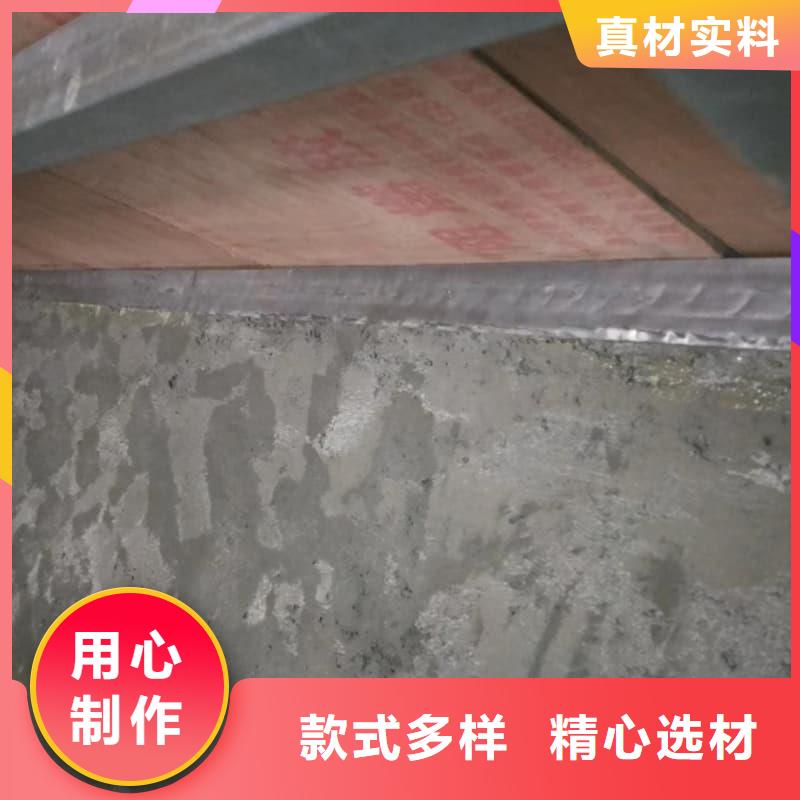 电动防护铅门认准佳誉恒辐射防护工程有限公司