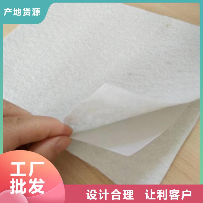复合土工膜TPO防水卷材多年实力厂家