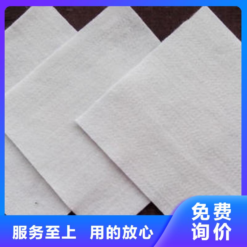 土工布涤纶土工格栅24小时下单发货