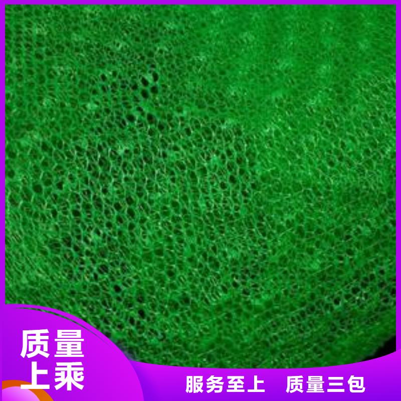 三维植被网-排水沟盖板质量上乘