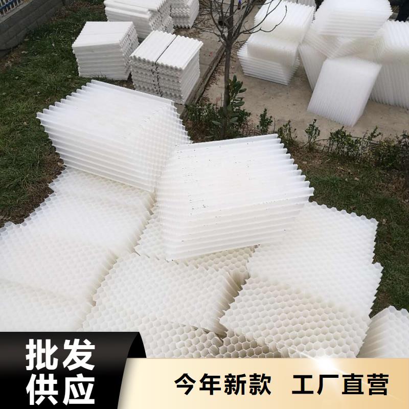 斜管填料椰壳活性炭安心购