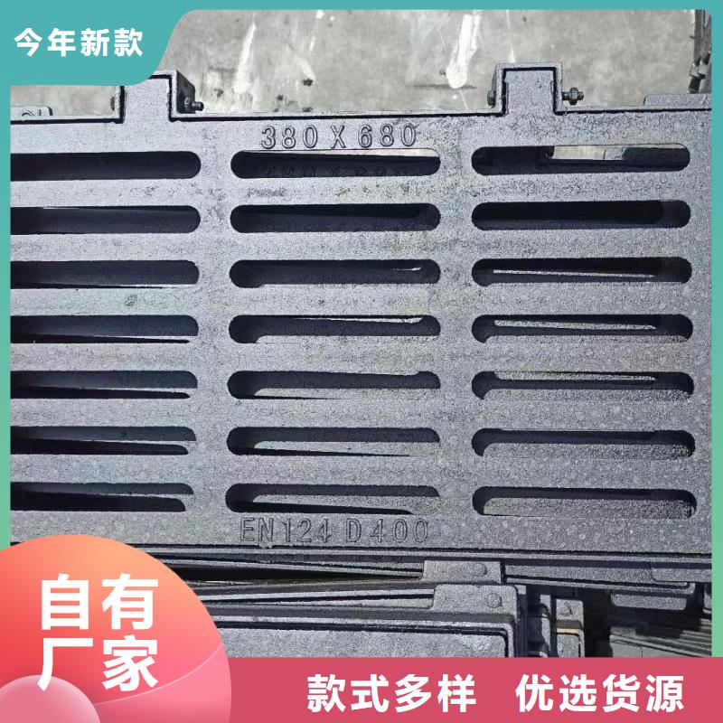 双篦子球墨铸铁建鑫金属制造厂家