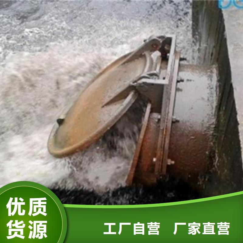 【拍门 扇形闸门一致好评产品】