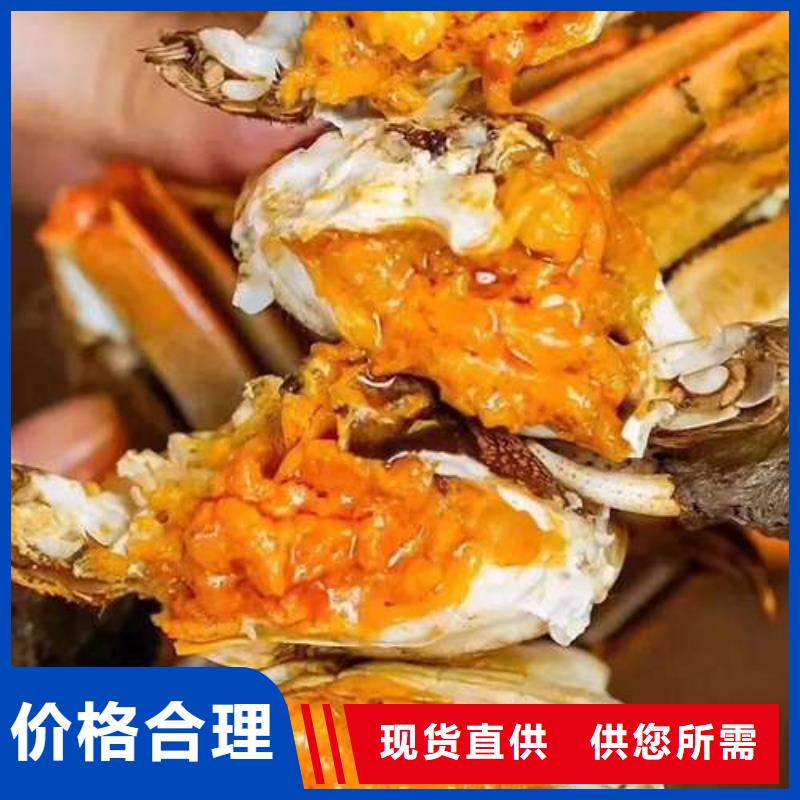蟹阳澄湖大闸蟹到哪里买专业厂家