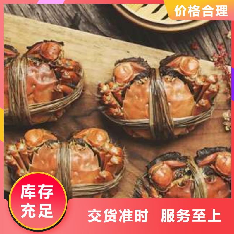 蟹阳澄湖大闸蟹批发店买的放心安兴用的舒心