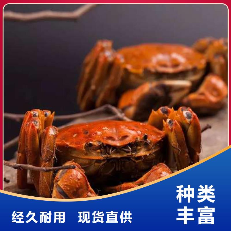 蟹阳澄湖大闸蟹几月份吃一站式厂家