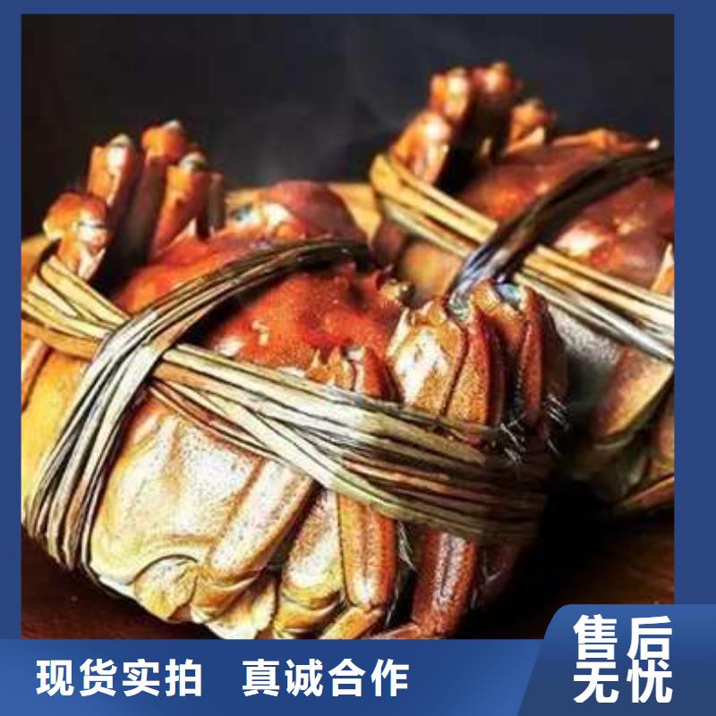 蟹阳澄湖大闸蟹多少重量信誉有保证