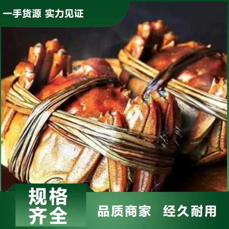 蟹阳澄湖大闸蟹网购严选材质