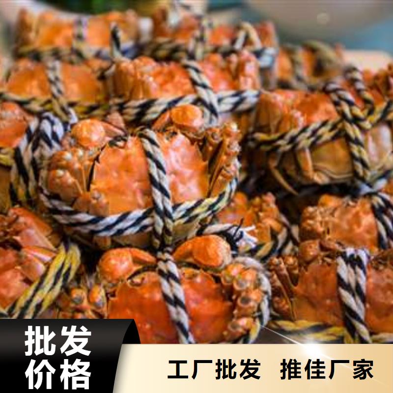 蟹近的阳澄湖大闸蟹销售点源头厂家供应