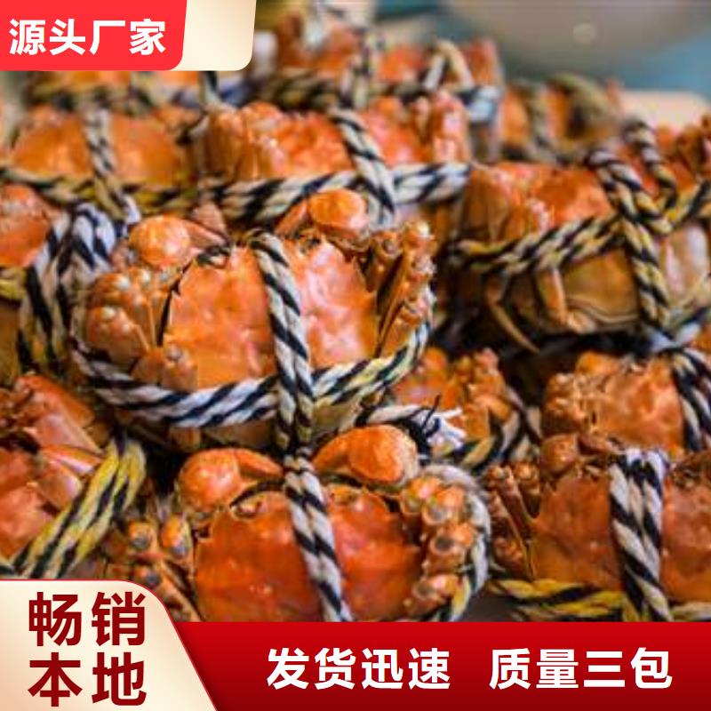 蟹阳澄湖大闸蟹几月份吃一站式厂家