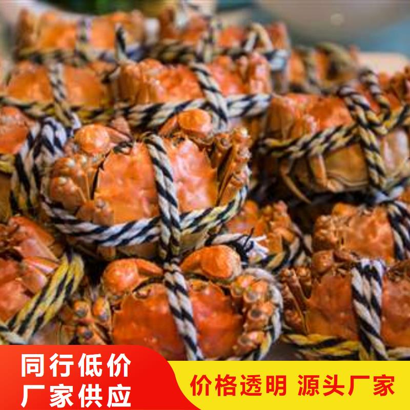 蟹阳澄湖大闸蟹多少重量信誉有保证