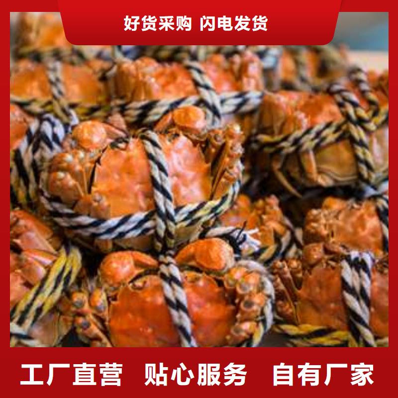 蟹,阳澄湖大闸蟹零售店支持定制批发