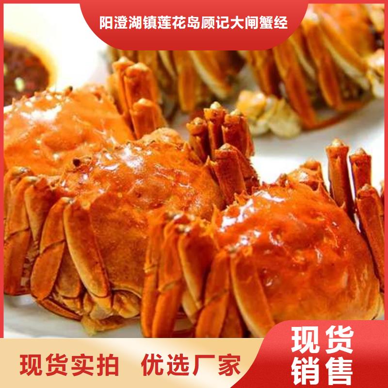 蟹阳澄湖大闸蟹批发店买的放心安兴用的舒心