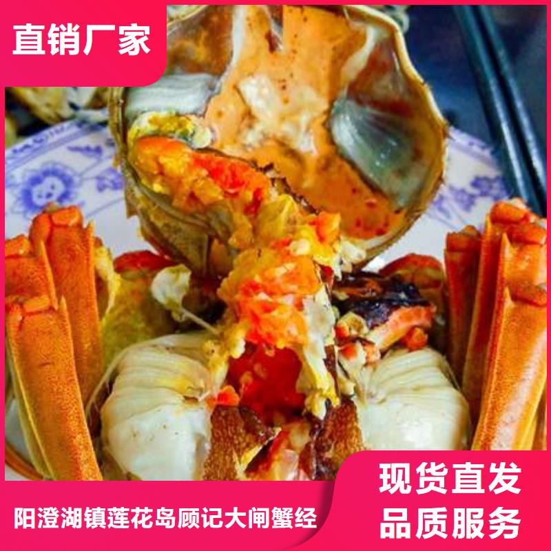 蟹阳澄湖大闸蟹哪个品牌正宗海量现货直销