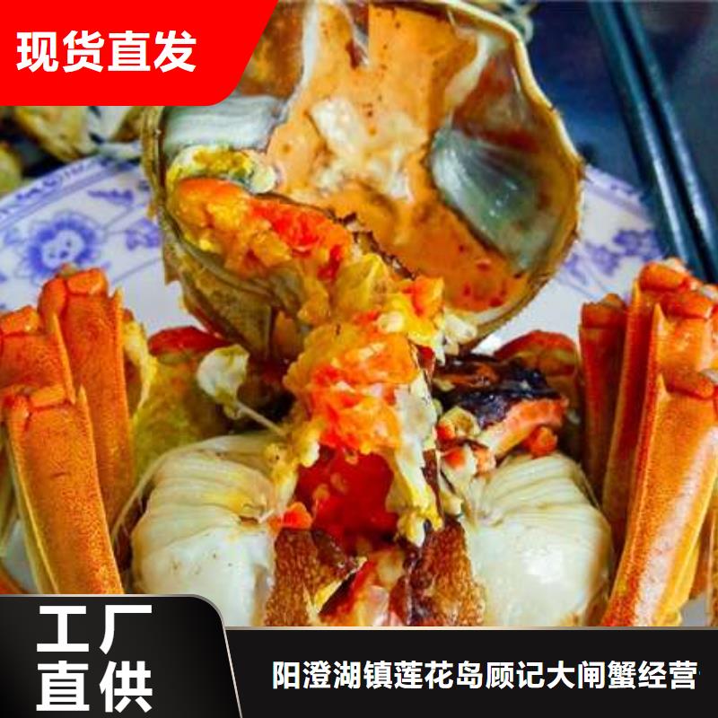 蟹,阳澄湖大闸蟹到哪里买源厂供货