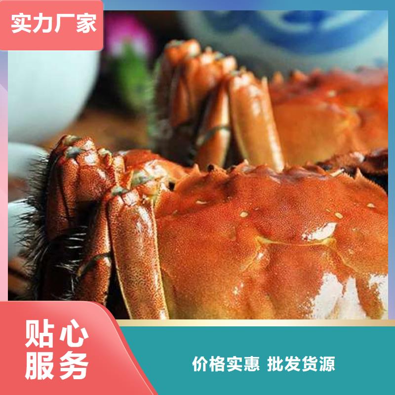 蟹阳澄湖大闸蟹几两吃现货批发