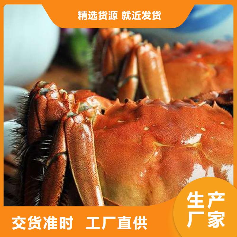 蟹阳澄湖大闸蟹直营店产品性能