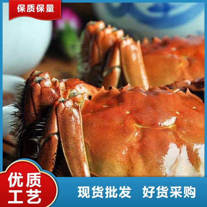 蟹,阳澄湖大闸蟹到哪里买源厂供货