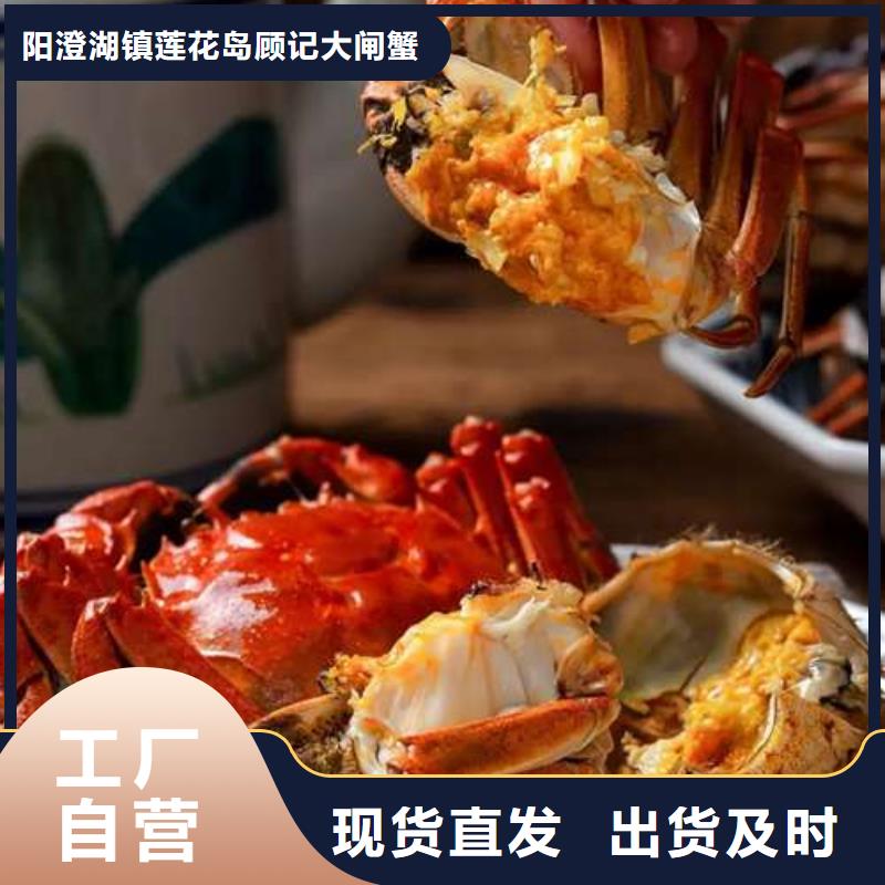 蟹,阳澄湖大闸蟹到哪里买源厂供货