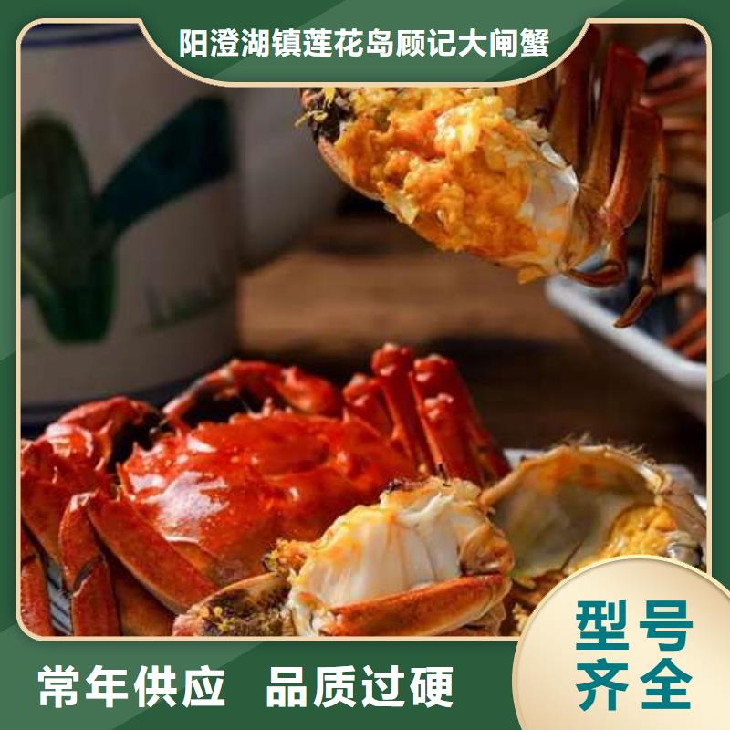 蟹阳澄湖大闸蟹几月份吃一站式厂家