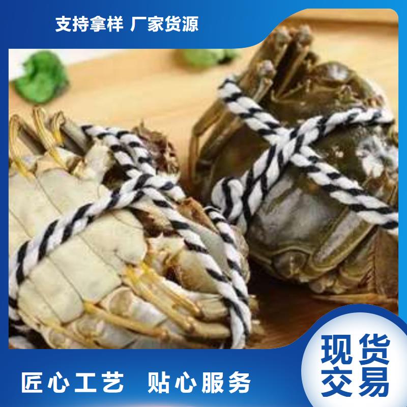 蟹阳澄湖大闸蟹几两吃现货批发