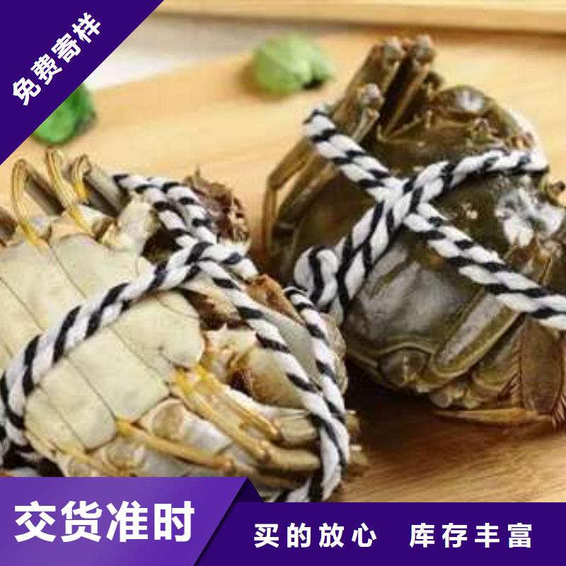 蟹阳澄湖大闸蟹批发店供应采购