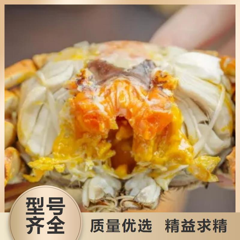 蟹阳澄湖大闸蟹网购严选材质