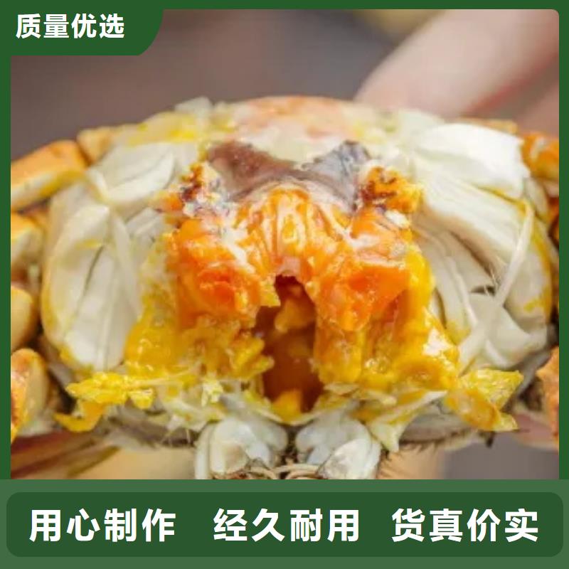 蟹阳澄湖大闸蟹批发店买的放心安兴用的舒心