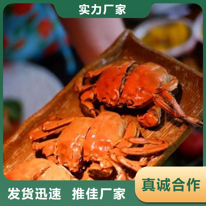 蟹,阳澄湖大闸蟹到哪里买源厂供货