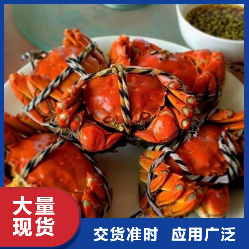 蟹,阳澄湖大闸蟹到哪里买源厂供货
