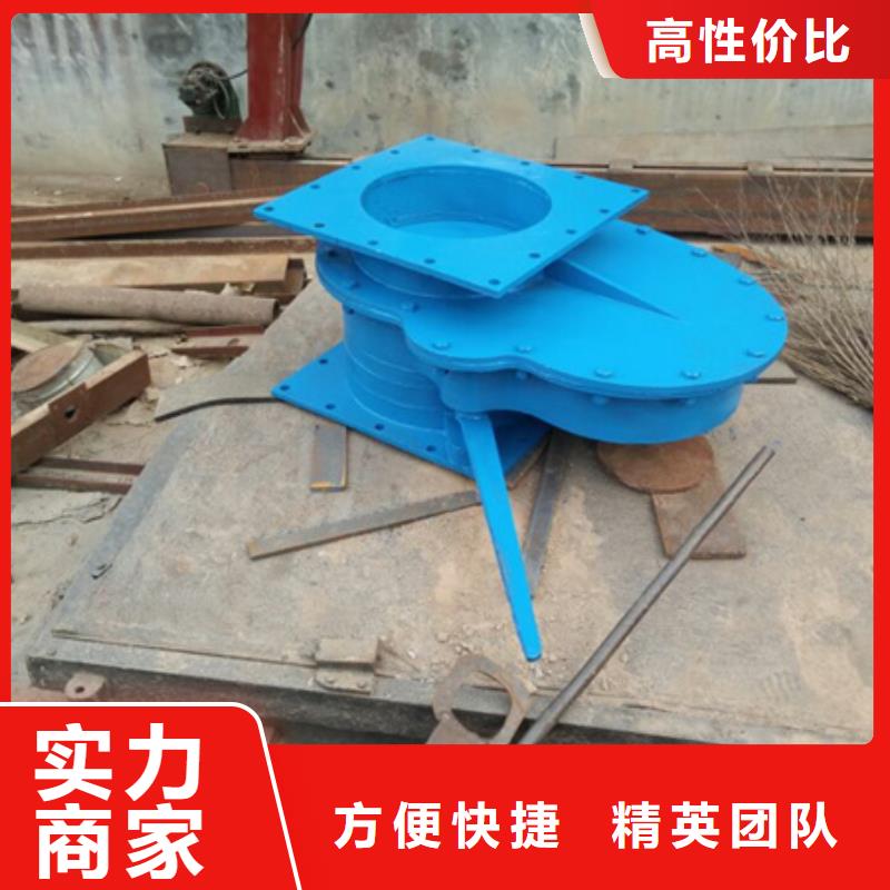 拍门矩形侧翻式拍门定制定做