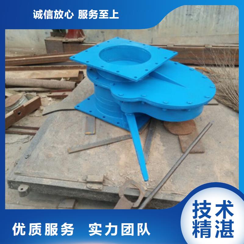 拍门_拍门钢制拍门货品齐全