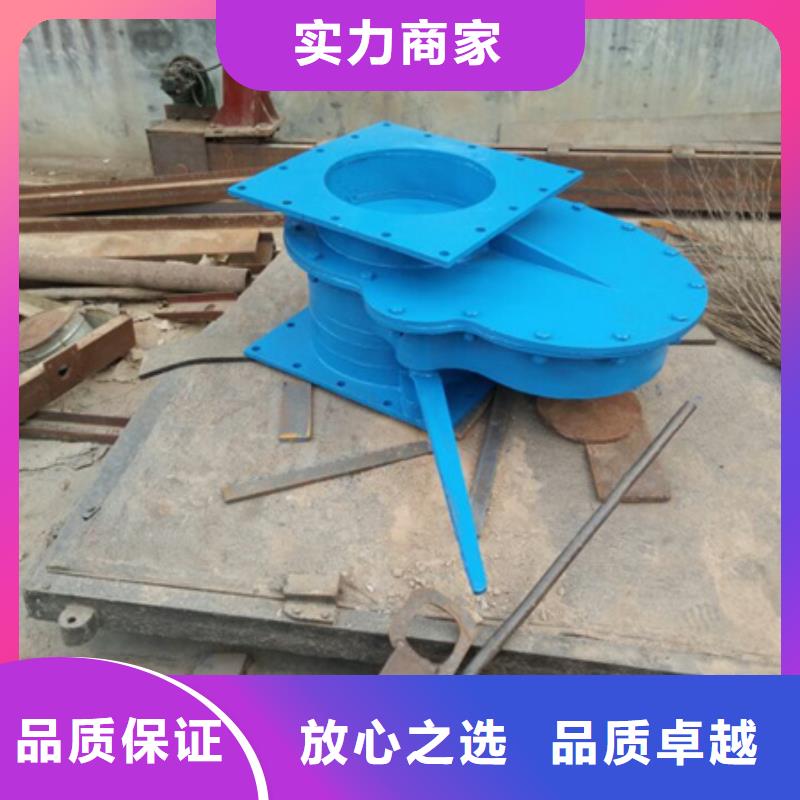 拍门矩形侧翻式拍门定制定做