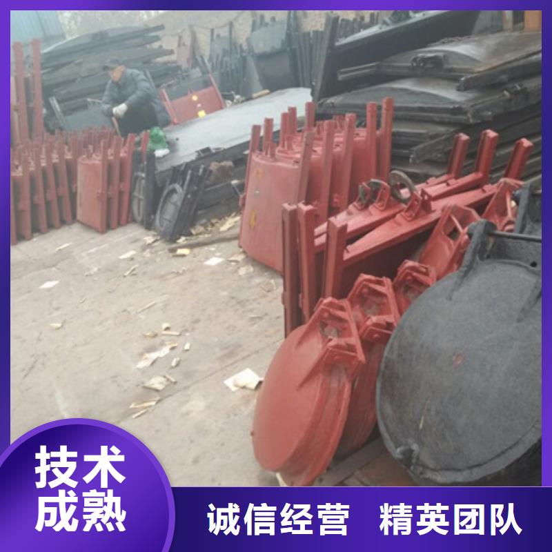 拍门钢制拍门 库存量大