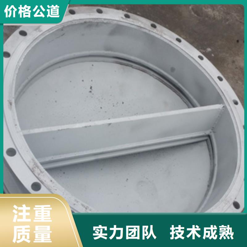 拍门-方形铸铁拍门生产型