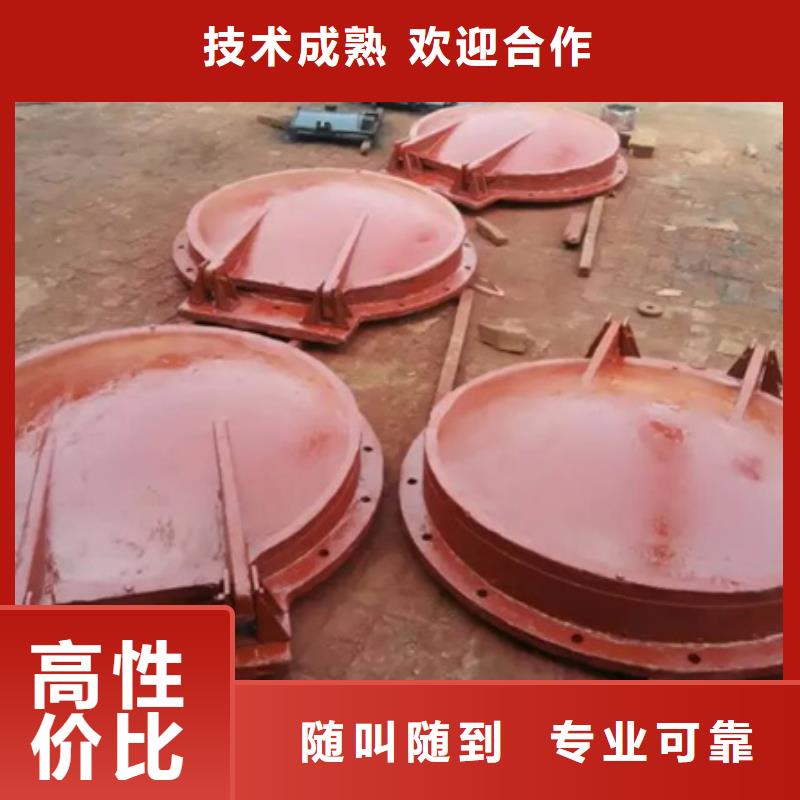 拍门钢制拍门 库存量大