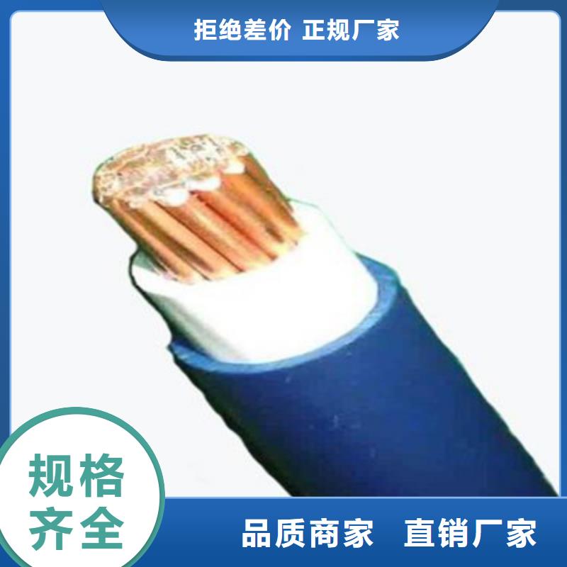 NA-YJV耐火电力电缆3X4+1X2.5