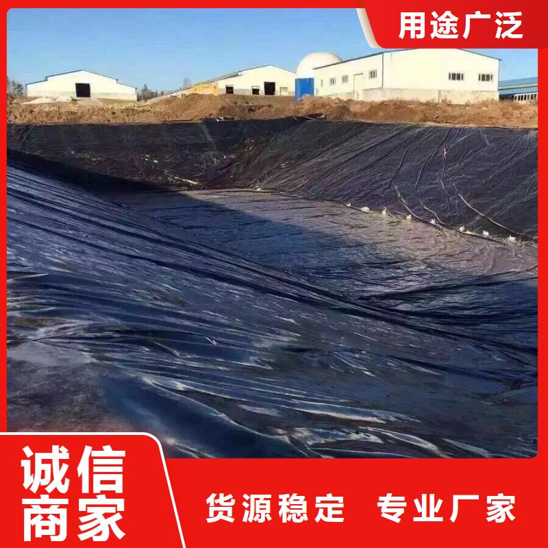 土工膜,土工膜高品质诚信厂家