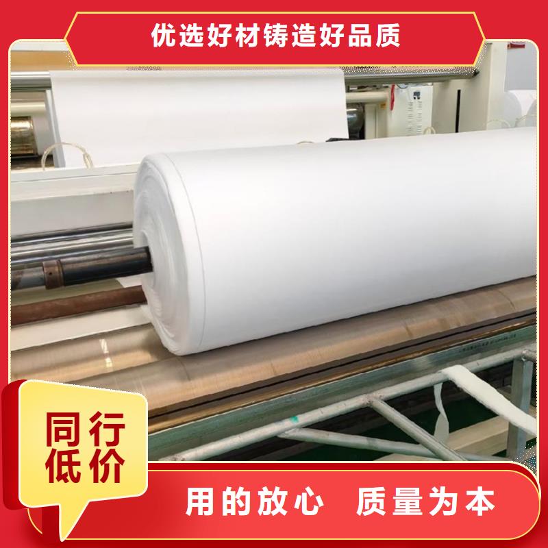 土工布防渗土工布源厂直接供货