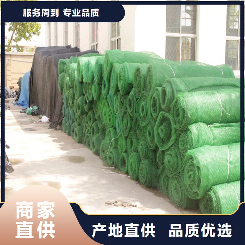 三维植被网加筋麦克垫高性价比